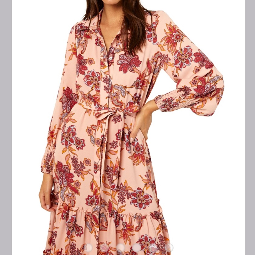 MISA Los Angeles Esmee Maxi Dress in Paisley - Picture 4 of 11
